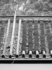 Sam Tung Uk Village tiled roof in Tsuen Wan Hong Kong