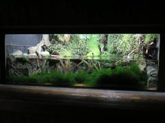 diverse aquatic species in Grand Aquarium Saint-Malo tank