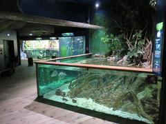 Grand Aquarium Saint-Malo interior with large cylindrical fish tank