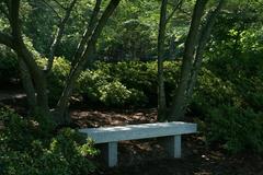 bench at Duke Gardens