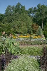 Rows of colorful flowers at Duke Gardens