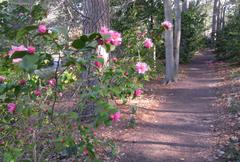 Sarah P. Duke Gardens at Duke University