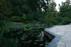 Lily pond at Sarah P. Duke Gardens