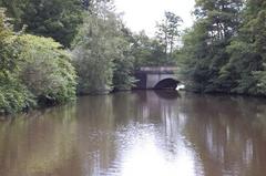 Bridge at Savill Gardens