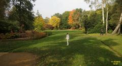 Blossoming flowers and lush greenery in the Savill Garden