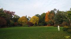 Savill Garden in spring