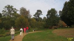 beautiful view of a pathway in the Savill Garden surrounded by lush greenery and colorful flowers