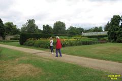 In the Savill Garden with purple flowers and lush greenery