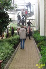 Inside the Temperate House at the Singapore Botanic Gardens