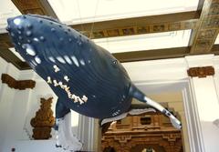 Whale sculpture at the entrance of the Science Museum in Seville