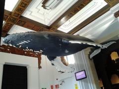 Humpback whale statue at Casa de la Ciencia in Seville