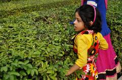 girl at Maze in Science Park in Kolkata