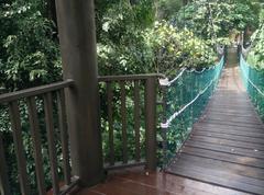 KL Forest Eco Park canopy at KL Tower in Malaysia