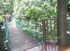 Canopy of KL Forest Eco Park at Kuala Lumpur Tower