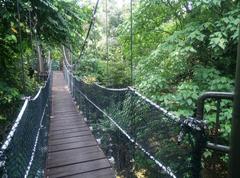 canopy of KL Forest Eco Park at Kuala Lumpur Tower