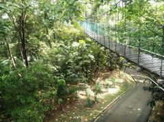 Canopy of KL Forest Eco Park at Kuala Lumpur Tower