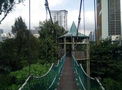 Canopy of KL Forest Eco Park at Kuala Lumpur Tower