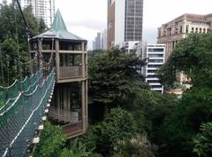 Canopy walk at KL Forest Eco Park