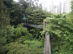 Canopy of KL Forest Eco Park at Kuala Lumpur Tower