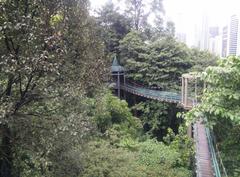 Canopy of KL Forest Eco Park at Kuala Lumpur Tower