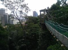 KL Forest Eco Park Canopy in Kuala Lumpur