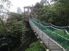 KL Forest Eco Park canopy at KL Tower