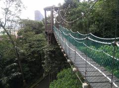 Canopy of KL Forest Eco Park at Kuala Lumpur Tower