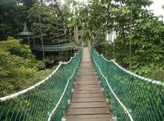 Canopy of KL Forest Eco Park at KL Tower in Kuala Lumpur