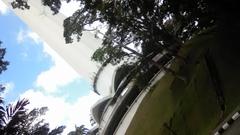 KL Tower with lush greenery in Bukit Nenas, Kuala Lumpur