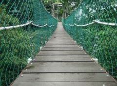 Canopy walk at KL Forest Eco Park