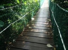 Canopy of KL Forest Eco Park at Kuala Lumpur Tower