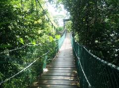 KL Forest Eco Park canopy at KL Tower