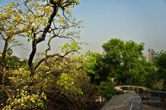 Fort Sewri in Mumbai panoramic view