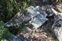 old disused stone steps in bush