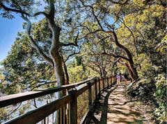 Aerial view of the intricate waterways and lush greenery of Sydney Harbour National Park