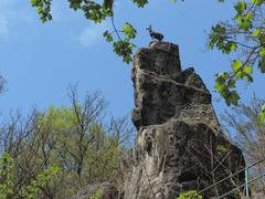 Kamzík tower in Bratislava with surrounding nature