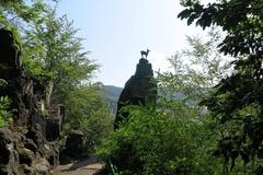 Statue of a chamois on a rock in Karlovy Vary