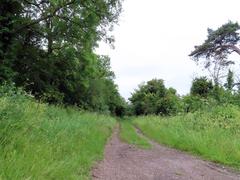 Bridleway to Woodstock on a cloudy day