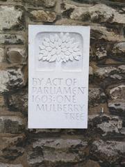 Plaque with text 'By Act of Parliament 1603 One Mulberry Tree'