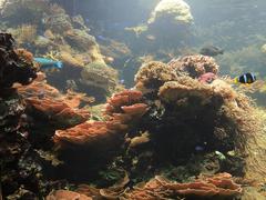 Aquarium in Tiergarten