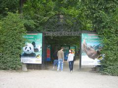 Giraffe standing in front of trees at Tiergarten Schönbrunn in Vienna, Austria