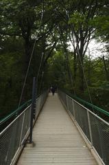 canopy walkway in Schönbrunn Zoo