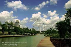 Dragonfly Lake at Gardens by the Bay, Singapore