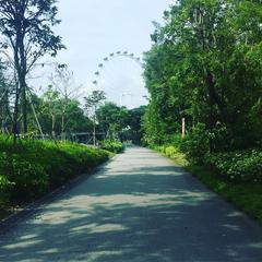 Cycling at Garden by the Bay