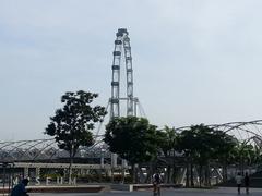 Singapore Helix Bridge and Giant Wheel