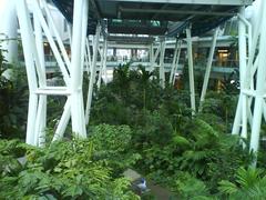 Yakult Rainforest Discovery garden at Singapore Flyer