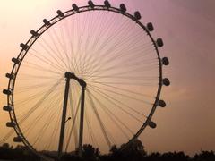 Singapore Flyer viewed from East Coast Parkway