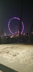 Singapore Flyer in Marina Bay