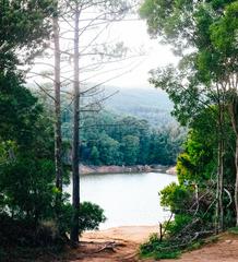 Barragem do Rio da Mula dam with a scenic view of the reservoir and surrounding greenery