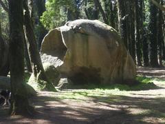 Protected area in Portugal